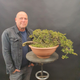 Juniperus Sabina