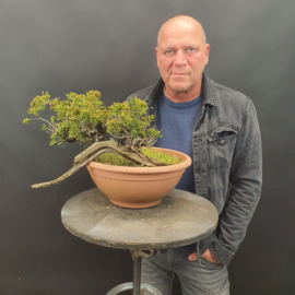 Juniperus Sabina
