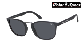 Polar Specs® Iconic PS9095 Mat Black/Small-Medium