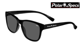 Polar Specs® Wayfarer Classic PS9011/Shiny Black/Small