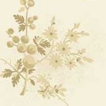 Freshberries Parchment 8824 L