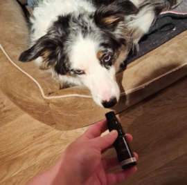 Zenn Relax Spray
