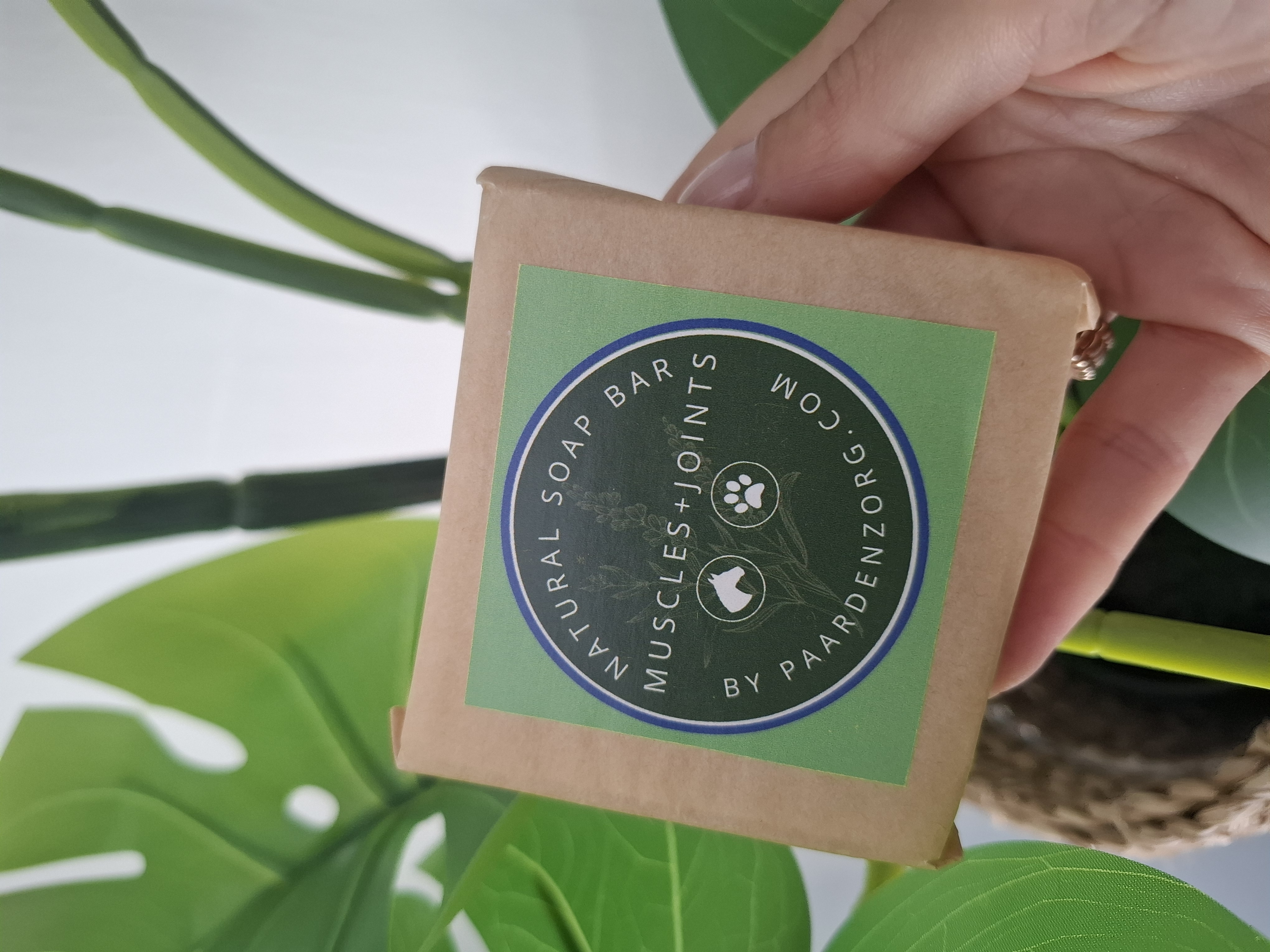 Muscles + Joints SOAPBAR