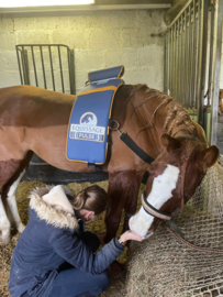 EQUISSAGE THERAPIE MET RUGPAD & HANDAPPARAAT