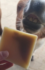 Sensitive SOAPBAR