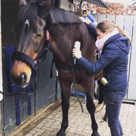 EQUISSAGE THERAPIE MET RUGPAD & HANDAPPARAAT