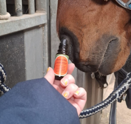 Trauma Therapy Olieroller