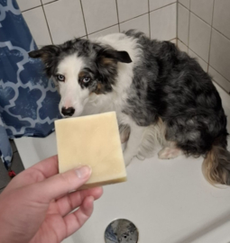 High-Immune SOAPBAR