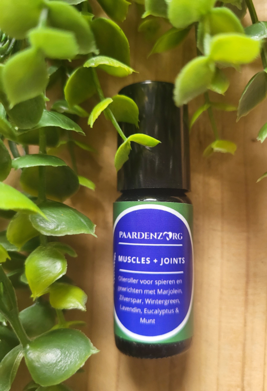 Muscles & Joints Roller