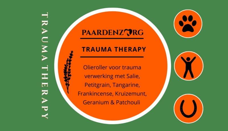 Trauma Therapy Roller