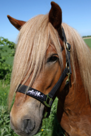 Karlslund Nylon Halster