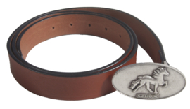 Karlslund Riem met IJslands paard