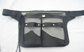 Scharenholster Blitzz 41