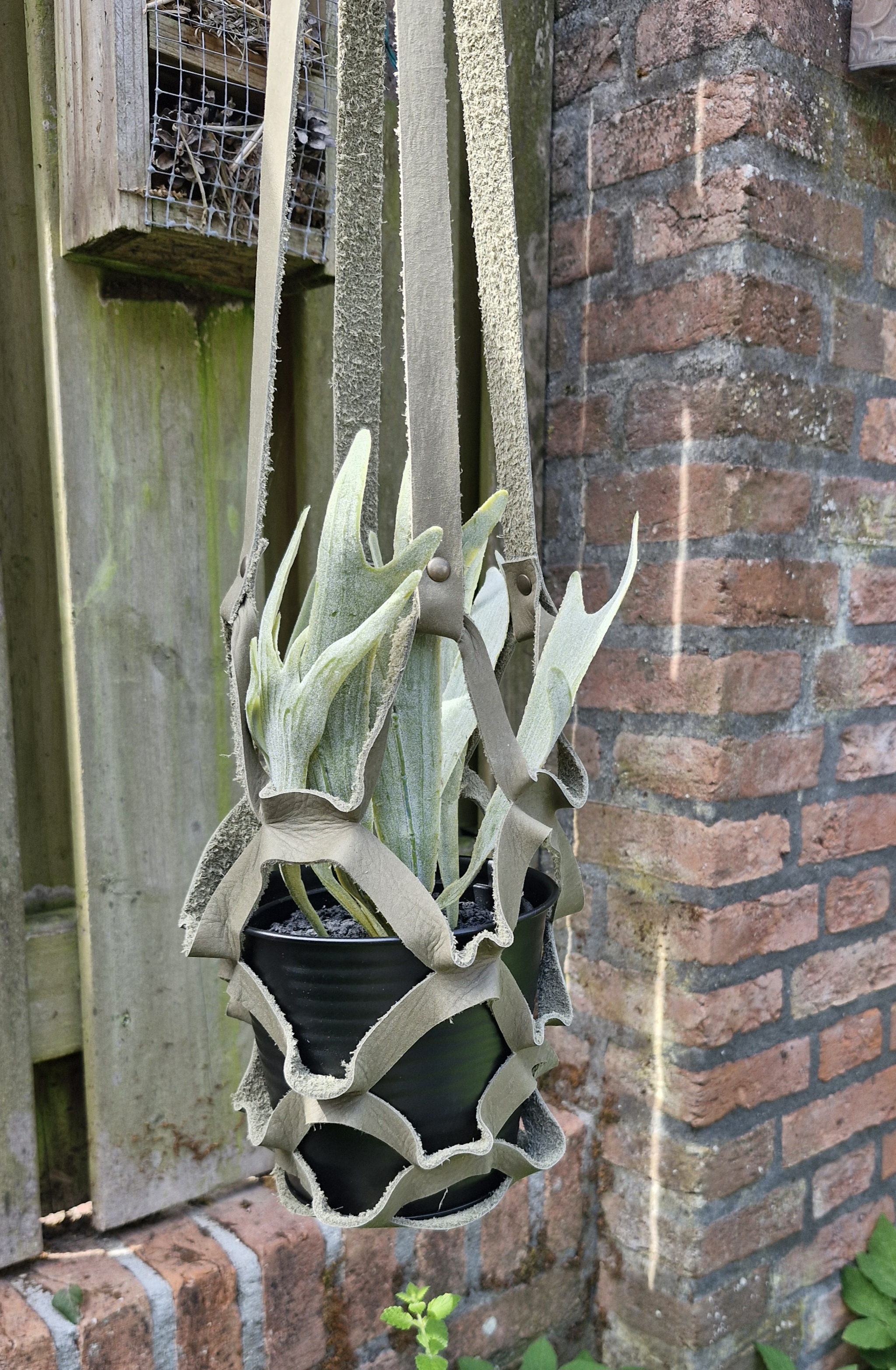 Plantenhanger groen
