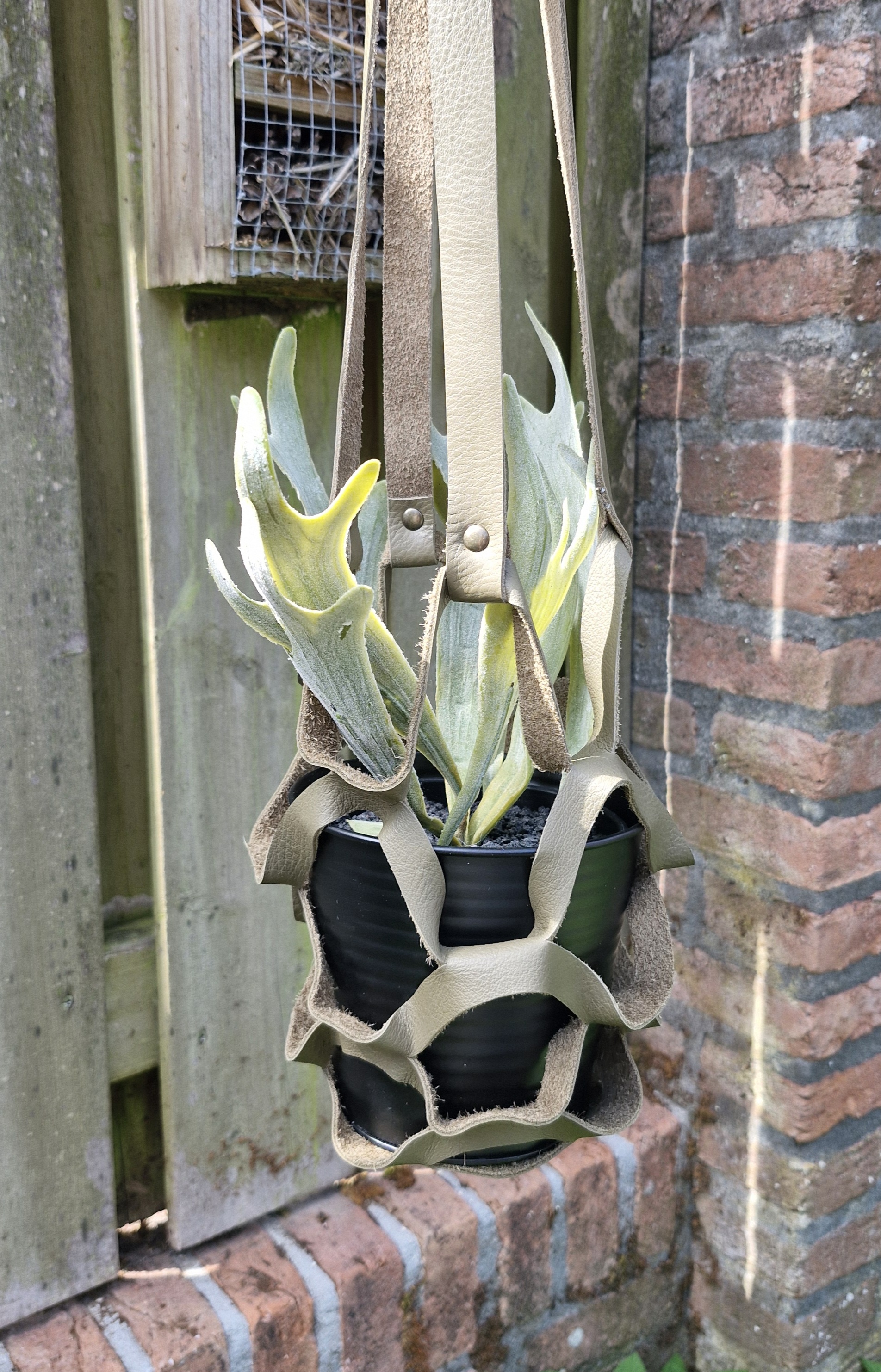 Plantenhanger kaki