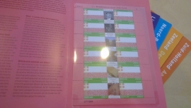 Nvph V2065 t/m V2076  Provincievellen (12 stuks) Postfris in Carnet