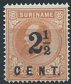 Suriname  21B (14 × 14) grote gaten 2½ ct op 25 ct Hulpuitgifte Ongebruikt (2)