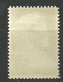 Suriname 168A (12½ × 12½) 12½ ct Wilhelmina met Sluier Postfris (1)