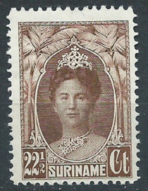 Suriname 123 22½ ct  Gewijzigde Jubileumzegel Postfris (1)