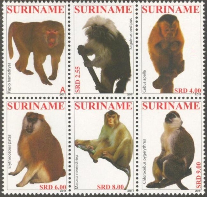 Suriname Republiek  1824/1829 Primaten 2011 Postfris (los)
