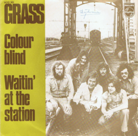 GRASS - COLOUR  BLIND