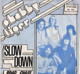 SHABBY TIGER  -SLOW DOWN