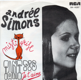 ANDRÉE SIMONS - TANT PIS JE T AIME