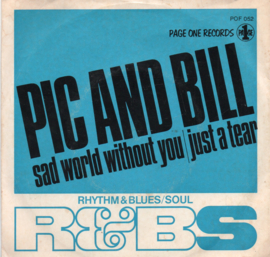 PIC AND BILL - SAD WORLD WITHOUT YOU