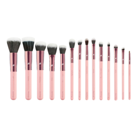 Boozyshop Pink & Rose Gold 14 pc. Starter Set