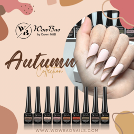 WowBao Nails Liner gel Paint Set AUTUMN