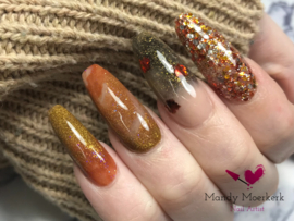 WowBao Nails acryl poeder Glitter nr G694 Dream Catcher 28g