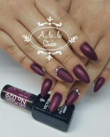 Victoria Vynn Salon Gelpolish 029 Chic Wine