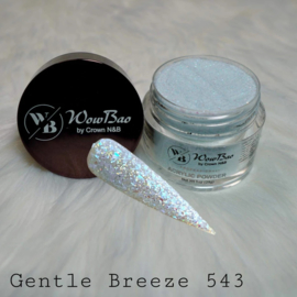 WowBao Nails acryl poeder Glitter nr 543 Gentle Breeze 28g