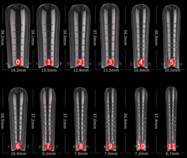 Dual system forms Extra Long