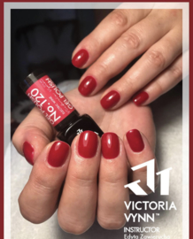 Victoria Vynn Salon Gelpolish 120 Electric Wine