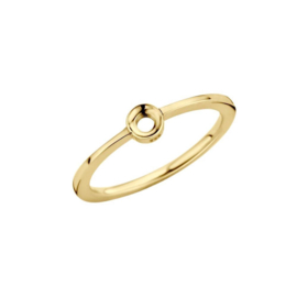 Melano Twisted Petite Ring Goudkleurig