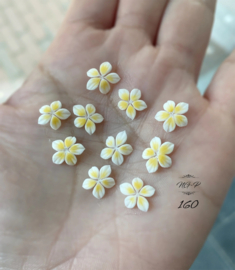 3D nailart bloem acryl 160