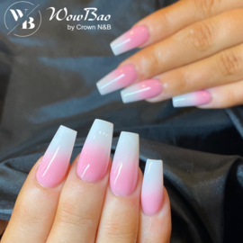 WowBao Nails Basic Acryl