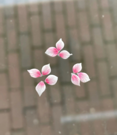 3D nailart blaadjes acryl 004 roze