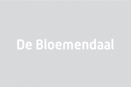 maatwerk raamfolie - De Bloemendaal 10