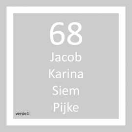 maatwerk raamfolie - Karina Raaijmakers