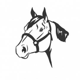 wandsticker - Paard 3