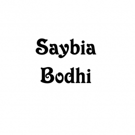 maatwerk - naamstickers Saybia en Bodhi