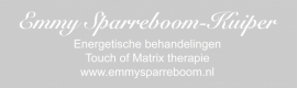 maatwerk - raamfolie - E. Sparreboom