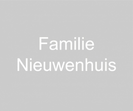 maatwerk raamfolie - Esther Nieuwenhuis