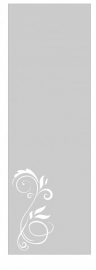 etched glass raamfolies