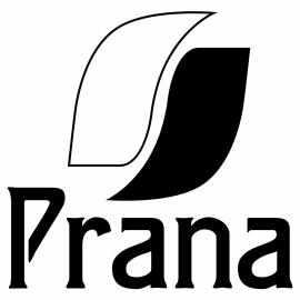 raamsticker - logo