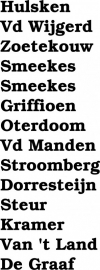 maatwerk strijkletter - verschillende namen
