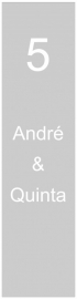maatwerk raamfolie - Andre & Quinta