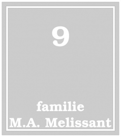 Maatwerk raamfolie - Fam. Melissant